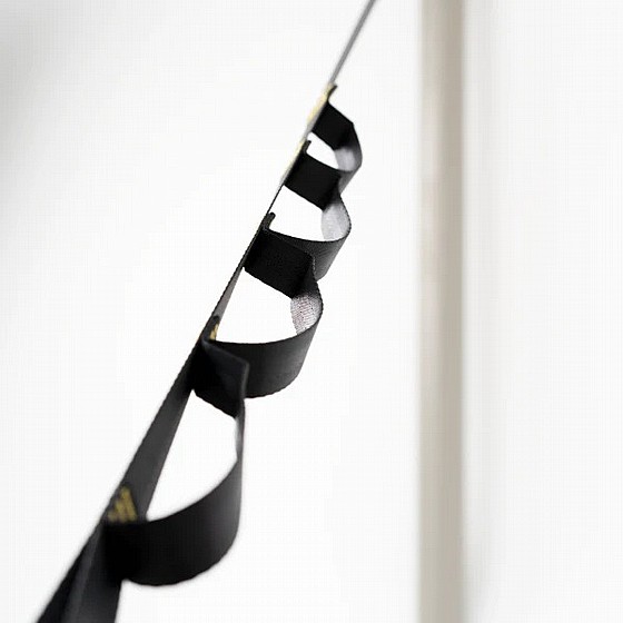 ������ ����� Ticket to the moon � Moon Straps