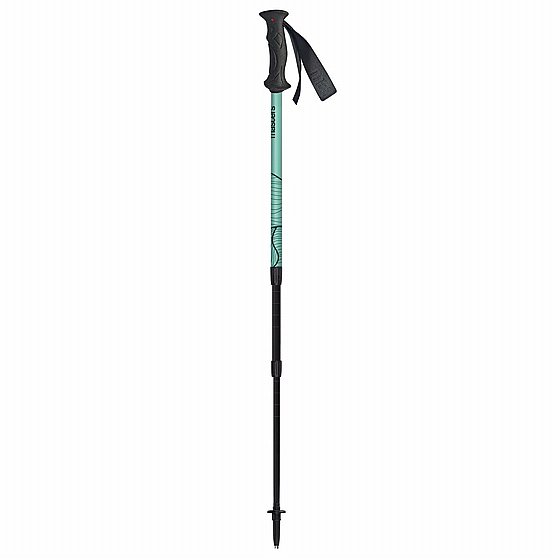 ��� ����� Masters Scout Green
